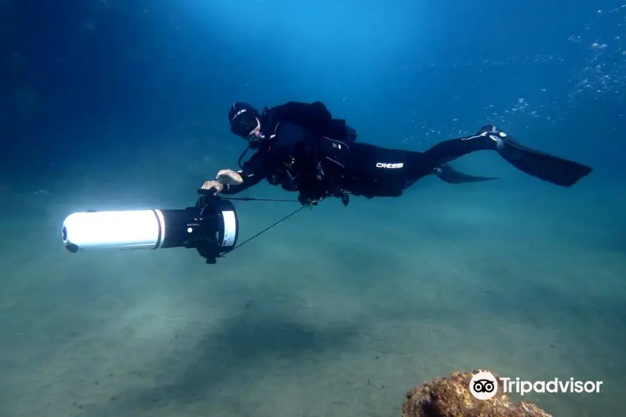 Fuerteventura Diving