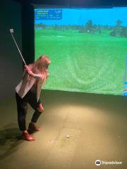 The Back Nine Indoor Golf