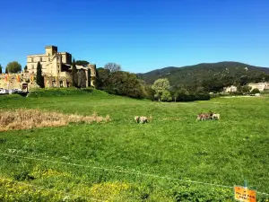Chateau de Lourmarin