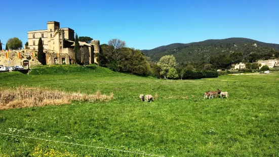 Chateau de Lourmarin