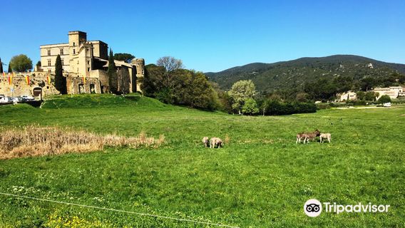 Chateau de Lourmarin