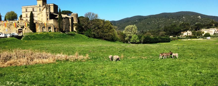 Chateau de Lourmarin