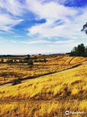 San Joaquin River Parkway and Conservation Trust, Inc.