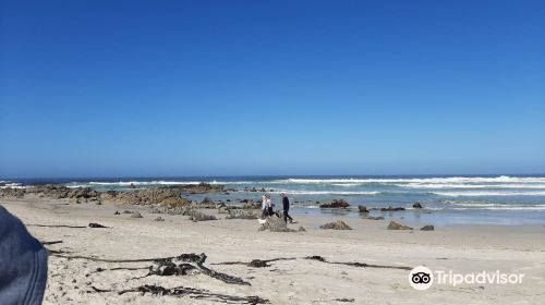 Silver Sands Beach