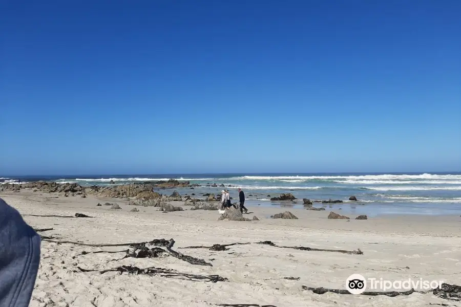 Silver Sands Beach