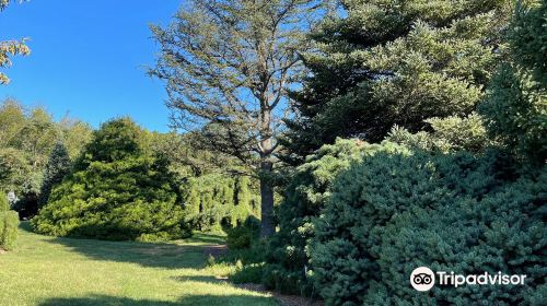 Hidden Lake Garden