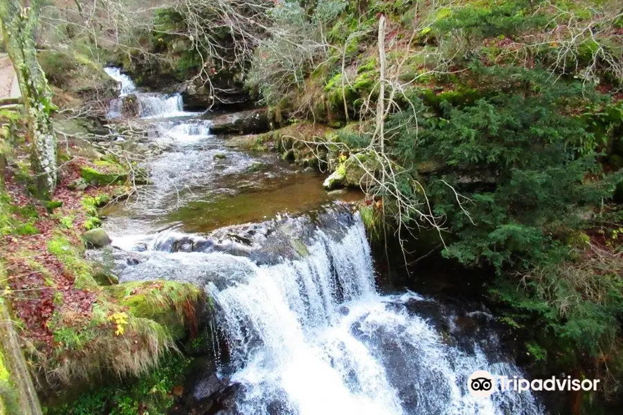 Parque Natural Sierra Cebollera