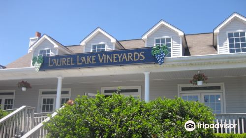 Laurel Lake Vineyard