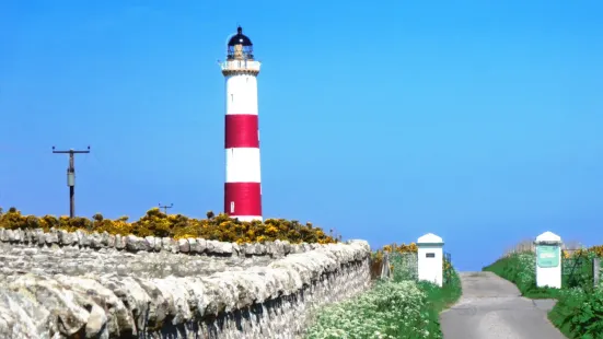 Tarbat Ness Lighthouse