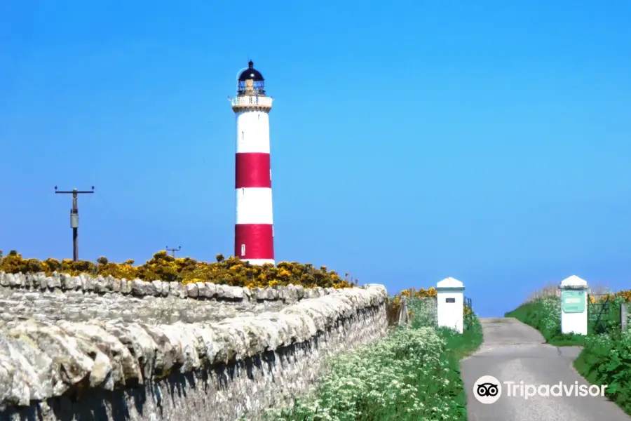 Tarbat Ness Lighthouse