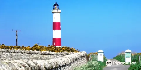 Tarbat Ness Lighthouse
