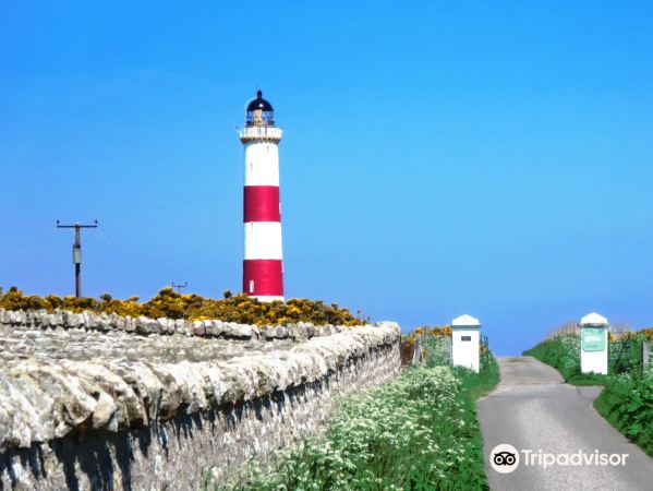 Tarbat Ness Lighthouse