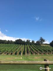 Lily Farm Vineyard