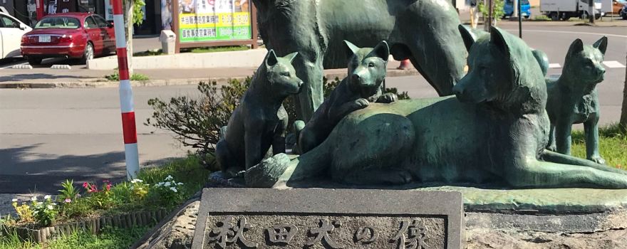 Akita Dog Visitor Center