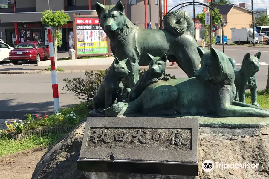 Akita Dog Visitor Center