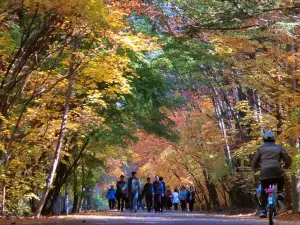 속리산국립공원