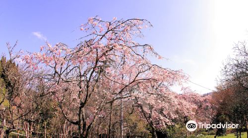 西江公館