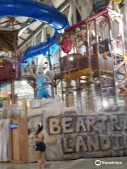 Great Wolf Lodge Water Park | Pocono Mountains