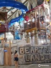 Great Wolf Lodge Waterpark