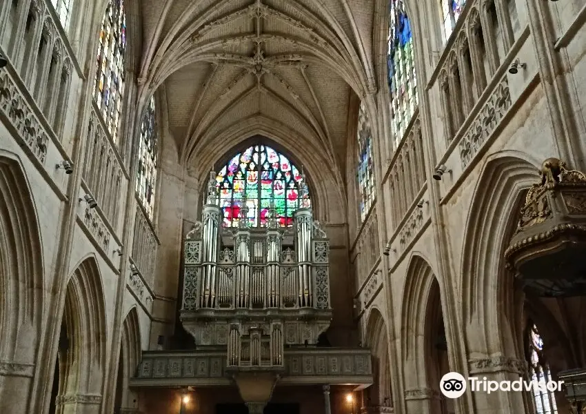 Basilique Notre-Dame d'Alencon