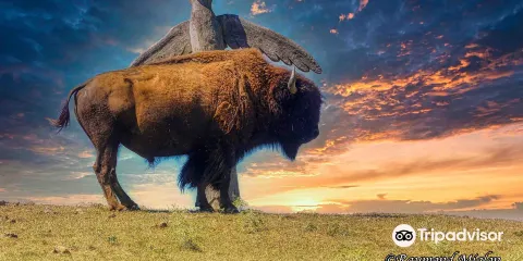 La Ferme Aux Bisons