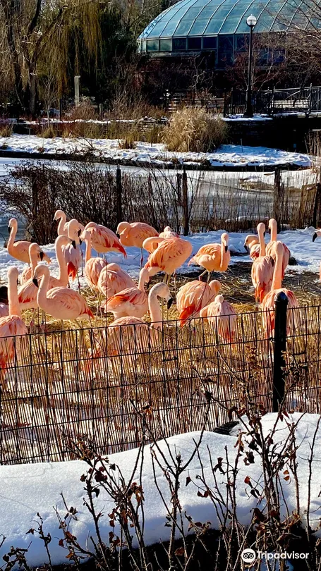 4_林肯公園動物園