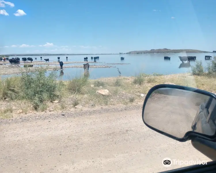 Balmorhea Lake