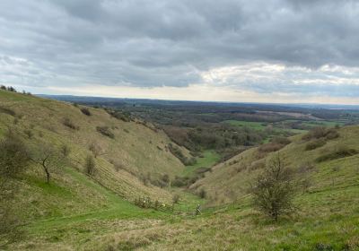 Wye National Nature Reserve