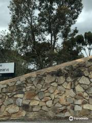 Gawler Skate Park