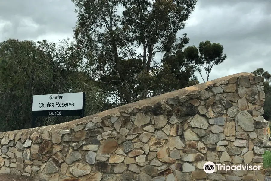 Gawler Skate Park