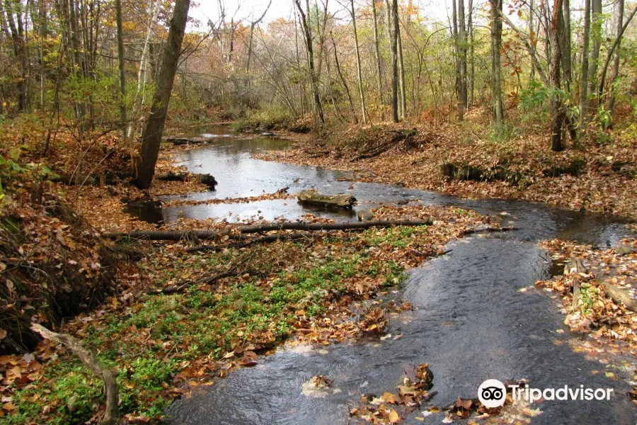 Upper Whiting Park