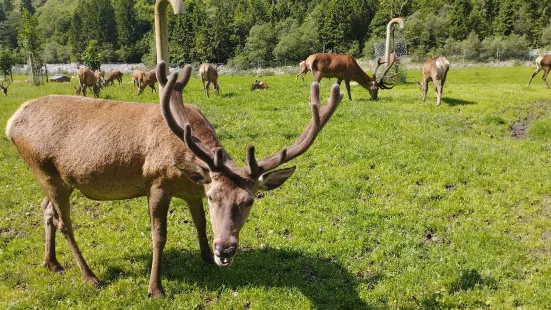 Wildlife Oasis - City of Castel Ivano