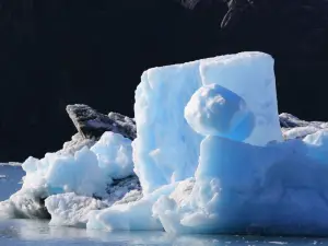 Stan Stephens Glacier & Wildlife Cruises