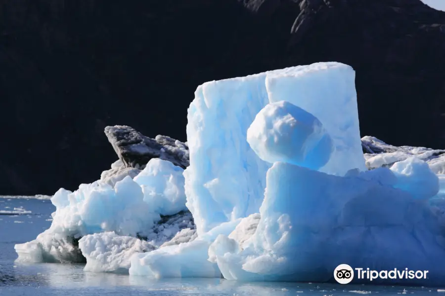 Stan Stephens Glacier & Wildlife Cruises