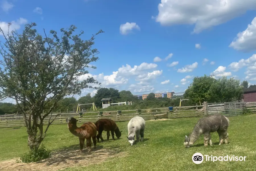 Gorse Hill City Farm