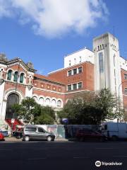 Bernardino Rivadavia Museum of Natural Science