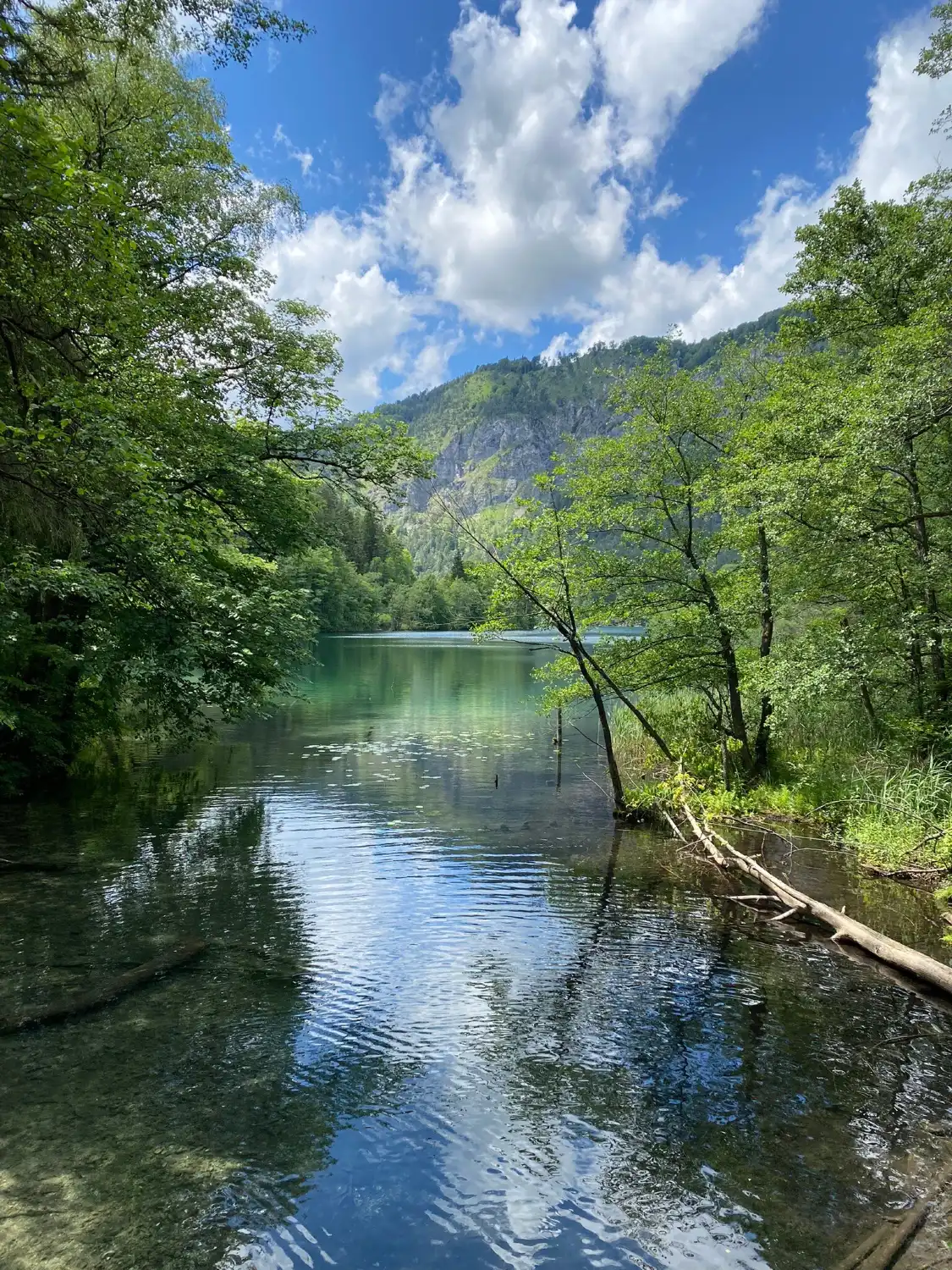 Hotels near Thumsee