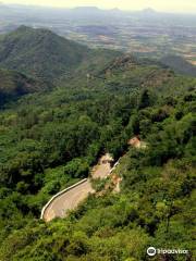 Sirumalai Reserved Forest