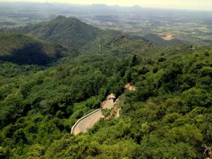 Sirumalai Reserved Forest