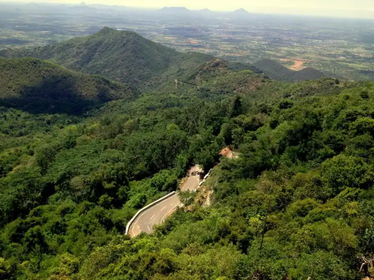 Hotels near Sirumalai Reserved Forest
