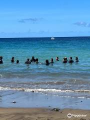 Anbadlola Guadeloupe-Plongee