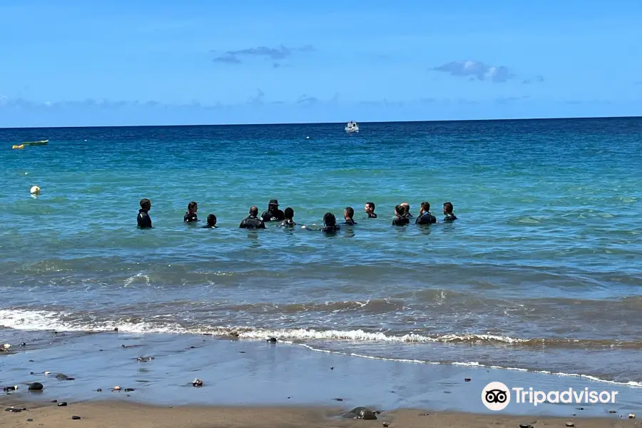 Anbadlola Guadeloupe-Plongee