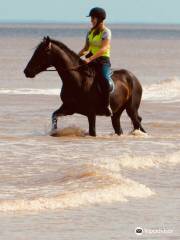 Orchard Farm Equestrian