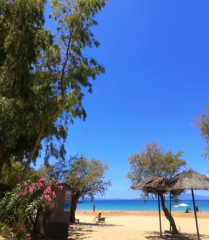 Kalogria