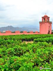 Hacienda Bodega Tacama