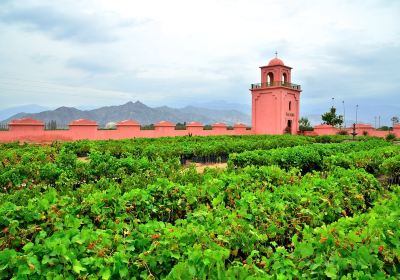 Hacienda Bodega Tacama