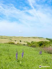 Konza Prairie Research Natural Area