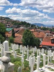 Alifakovac Friedhof