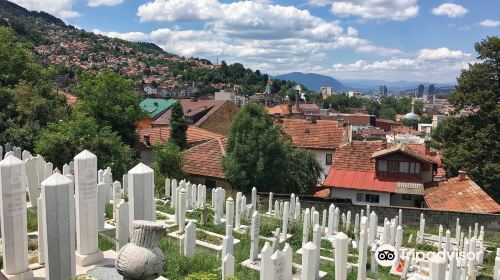 Alifakovac cemetery