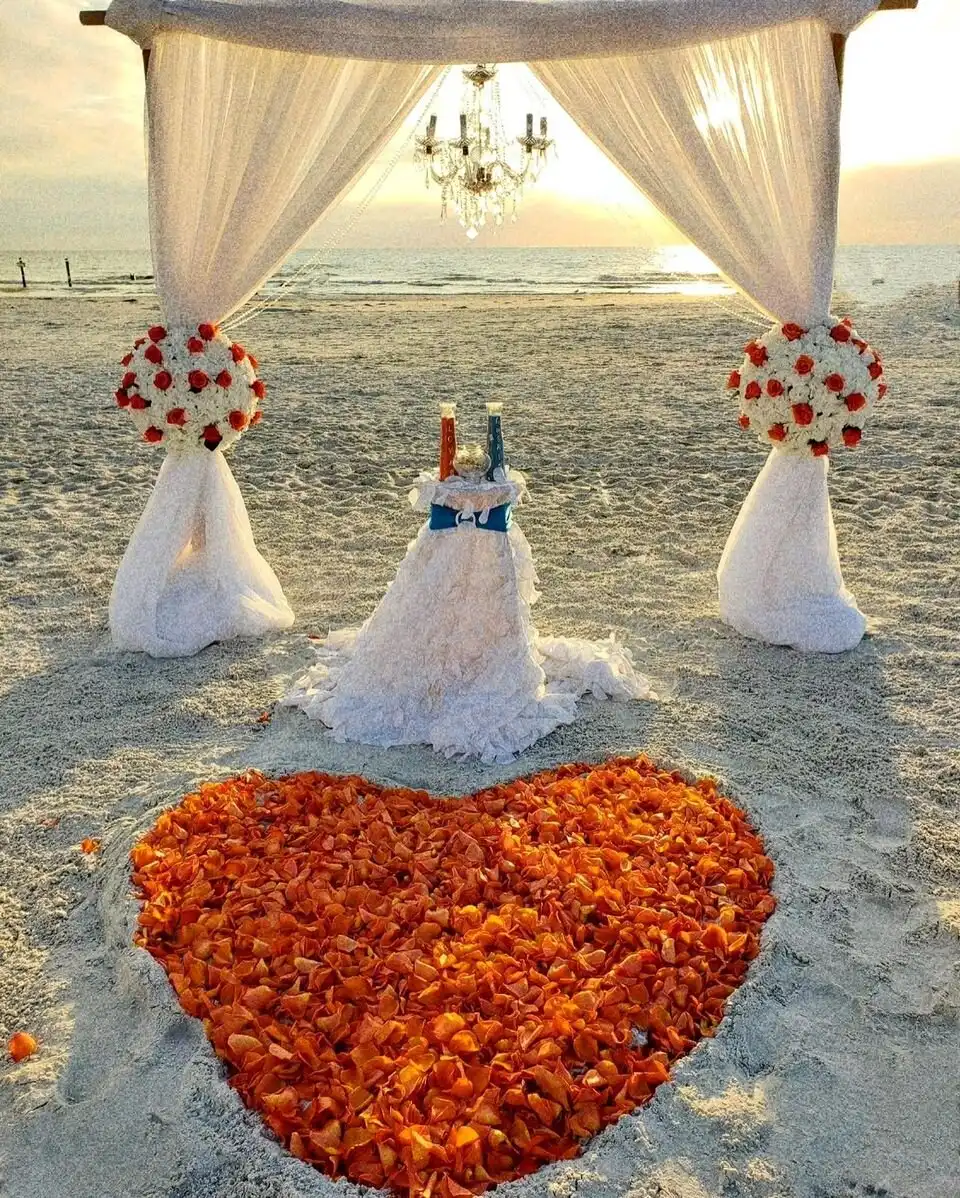 Hotels near Redington Shores Beach Access